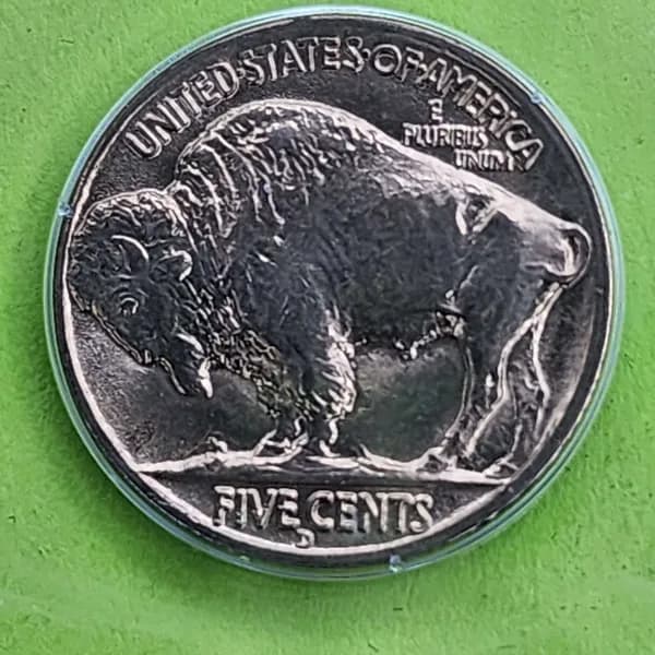 1938-D Buffalo Nickel MS66 PCGS Certified, detail view