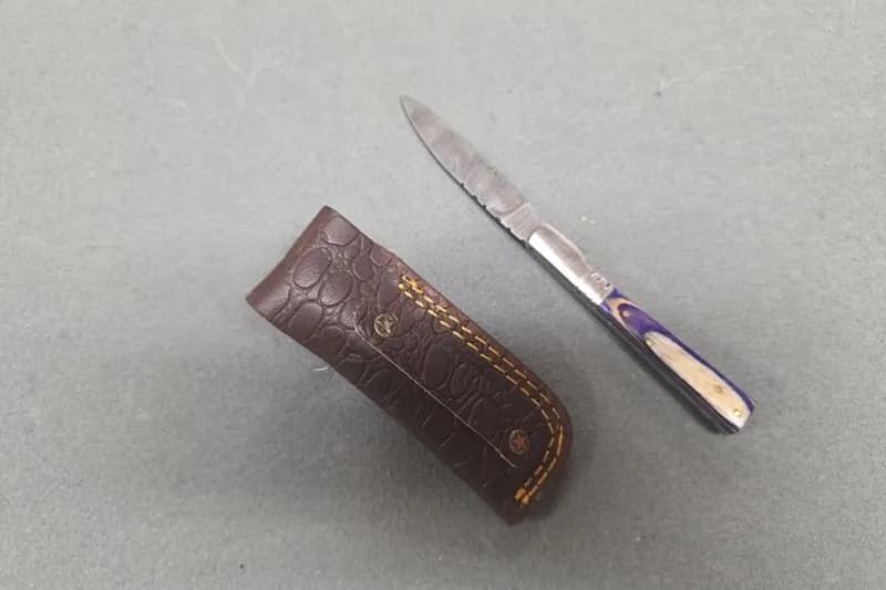 Fixed Blade Knife w/ Leather Sheath & Purple Handle, rear view