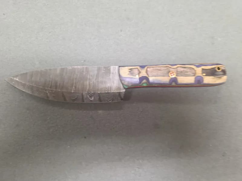 Fixed Blade Knife with Damascus-Pattern Blade and Multicolor Laminated Wood Handle, side view